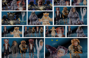 Cats 16 Jul 2025