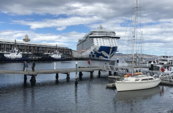 Tasmania Cruise 15 Nov 2023