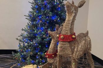 Xmas in July 24 July 2026